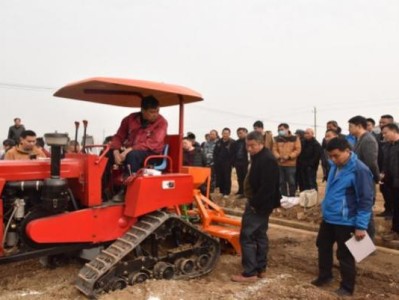 驚現(xiàn)！愛喜代購怎么買“招財進寶”