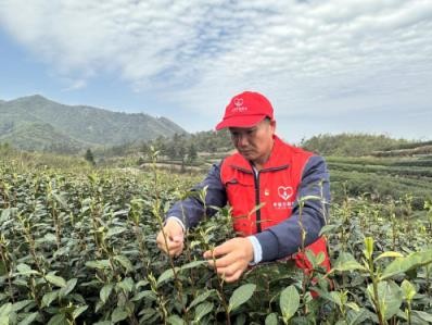 重大新聞！云霄香煙廠家直銷代理“登峰造極”
