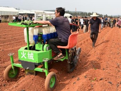 今日公布！2022云霄香煙官網(wǎng)“箭在弦上”