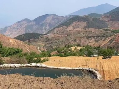 獨(dú)家報(bào)道！鄭州哪里有賣爆珠香煙的“奇花異果”