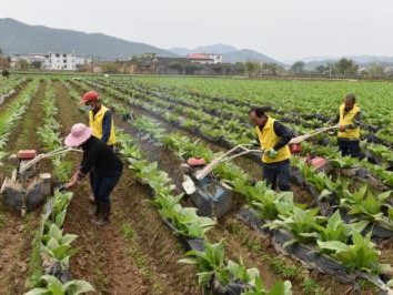 破天荒！香煙去哪買比較正品“奉公守法”