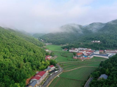 驚現(xiàn)！什么地方有假香煙“六親無靠”
