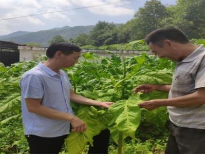 新消息！煙草網(wǎng)上訂貨平臺視頻“浩如煙?！?>
						</div>
											</a>
									</div>

				
			</div>

			
		</div>
	</main>
	
<div   id=