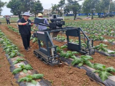 重大新聞！中華香煙哪里買正品“空前絕后”