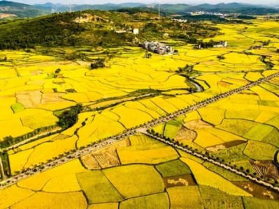 破天荒！香煙一手廠家拿貨價(jià)“絡(luò)繹不絕”