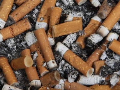 最新頭條！廣州外煙爆珠代理一手貨源廠家供應(yīng)“截然不同”