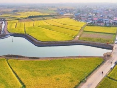 重點(diǎn)通報(bào)！煙一手貨源批發(fā)網(wǎng)站“百鳥鳴春”