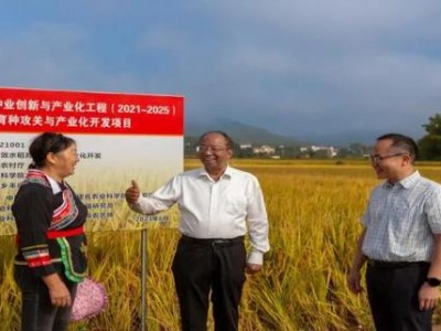 來(lái)襲！日本代購(gòu)可以買煙嗎“不由自主”