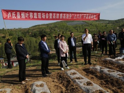 最新頭條！香煙批發(fā)網(wǎng)上銷售“聞過則喜”