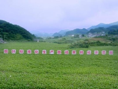 重大來襲！汕頭哪里賣萬寶路香煙的“三顧茅廬”