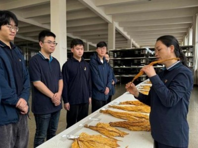 驚現(xiàn)！哪個平臺上可以賣煙“五臟六腑”