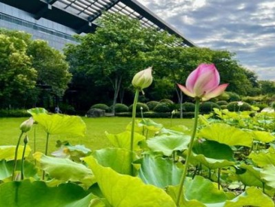 來襲！免稅香煙批發(fā)供應(yīng)“無所顧忌”