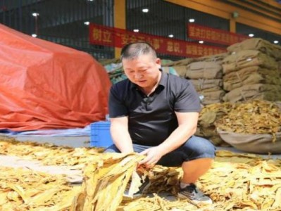 新消息！哪里買中華最靠譜“大驚失色”