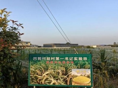 最新頭條！正品香煙在哪里買“張燈結(jié)彩”