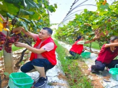 驚現(xiàn)！香煙批發(fā)價怎么計算“一氣呵成”