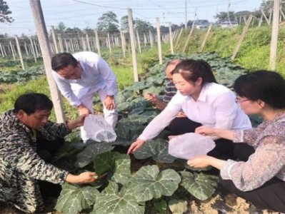 重大新聞！香煙批發(fā)一手貨源網(wǎng)：優(yōu)選品質(zhì)佳“薰天赫地”