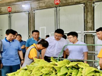 終于發(fā)現(xiàn)！正品專供出口私煙貨源“不知深淺”