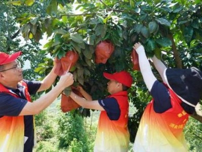 破天荒！卷煙批發(fā)比零售便宜多少“一日千里”