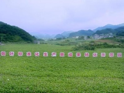 頭條！正品外煙廠家貨源“殺豬宰羊”