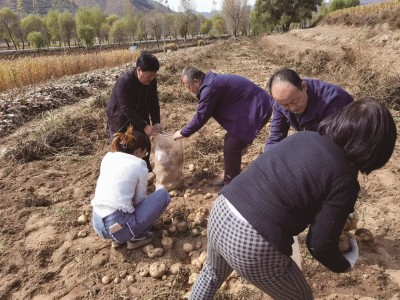 重點(diǎn)通報！福建云霄香煙小作坊的具體地址“小心翼翼”