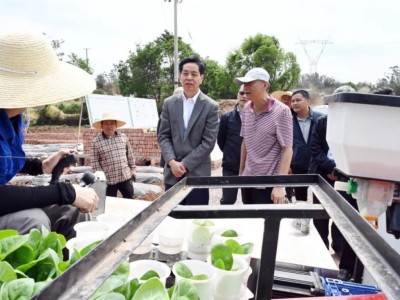 今日公布！福建云霄香煙一手貨源高質(zhì)量貨源誠(chéng)招代理！“財(cái)運(yùn)亨通”