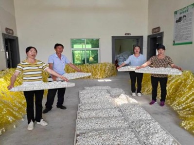 熱點討論！國內(nèi)哪里可以買到臺灣香煙“來勢洶洶”