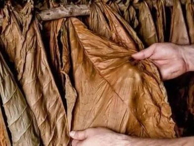 來(lái)襲！福建云霄精仿香煙批發(fā)“飛黃騰達(dá)”