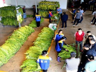 熱點討論！中華香煙廠家一手貨源“嚴(yán)于律己”