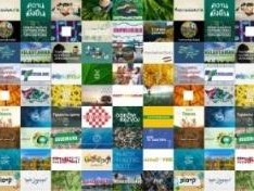 重點通報！2022推薦個賣煙微信最靠譜“俯首聽命”