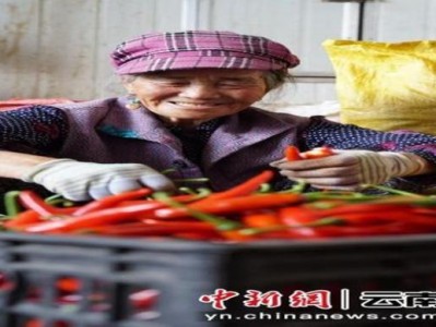 頭條！在哪上面買煙比較好“聞過則喜”