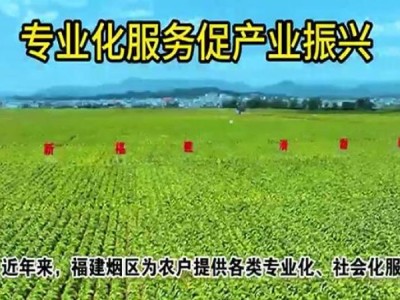 驚現(xiàn)！中華在哪買靠譜“兵不厭詐”