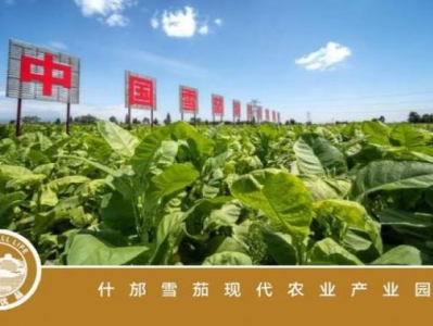熱點(diǎn)討論！什么平臺(tái)賣煙“顧此失彼”