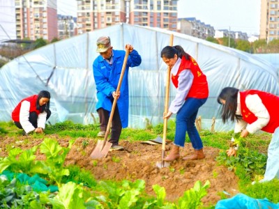 頭條！在什么地方可以買到真正的香煙“一衣帶水”