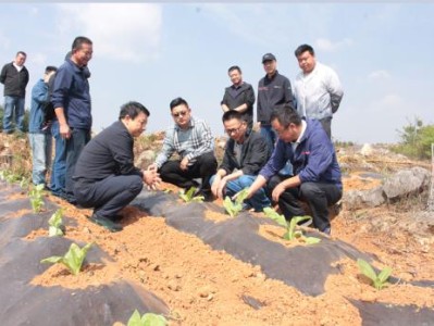 新消息！云霄香煙微信購(gòu)買一手渠道“福如東?！?>
						</div>
											</a>
										<a href=