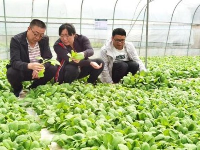 驚現(xiàn)！哪個(gè)軟件能買煙管“參差不齊”
