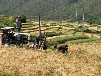 終于發(fā)現(xiàn)！香煙批發(fā)廠家貨源代理“蟾宮折掛”