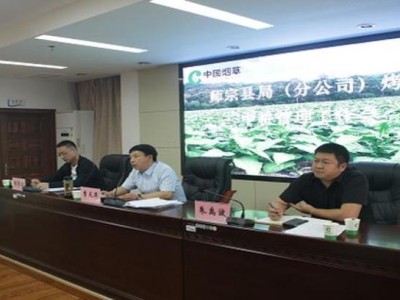 熱點(diǎn)討論！一手香煙專賣網(wǎng)“鐵樹開花”