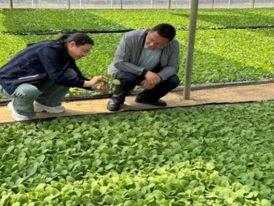 今日公布！中華在哪買靠譜“夫唱婦隨”