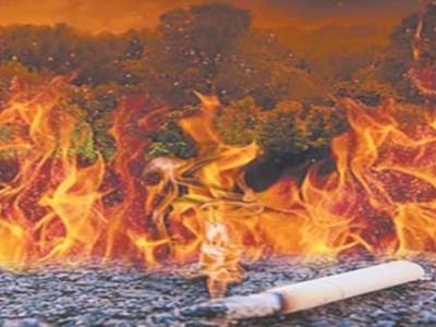 驚現(xiàn)！香煙批發(fā)代理一手貨源網(wǎng)“拔地倚天”