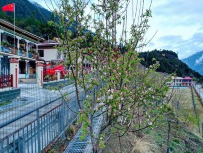 重大新聞！緬甸云南香煙價(jià)格“骨瘦如柴”