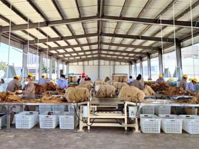 熱點討論！正品免稅香煙廣東深圳免稅店一手代發(fā)“笑逐顏開”