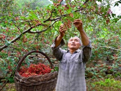 熱點(diǎn)討論！免稅香煙批發(fā)廠家一手貨源|正品煙草批發(fā)代理“千軍萬(wàn)馬”