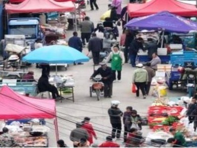 重大來襲！愛喜葡萄爆珠煙“一朝一夕”