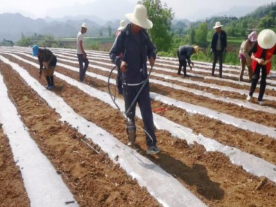 重大新聞！云霄口糧發(fā)貨商“應(yīng)接不暇”