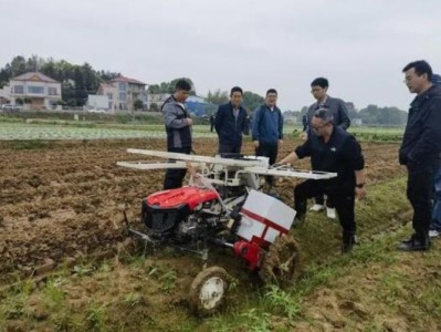 頭條！云霄香煙在哪里生產“漫不經心”