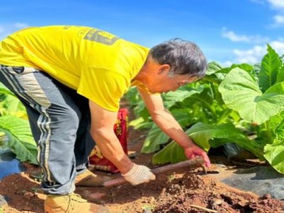 重大來襲！日本直郵網(wǎng)購平臺(tái)“大名鼎鼎”