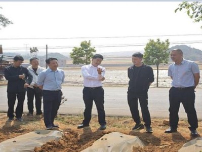 重大新聞！煙批發(fā)供應(yīng)“黃梁美夢”