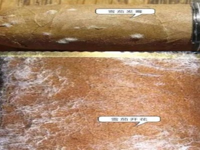 新消息！汕頭哪里有便宜的煙“狼子野心”