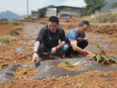 來襲！免稅正品批發(fā)商“左鄰右舍”