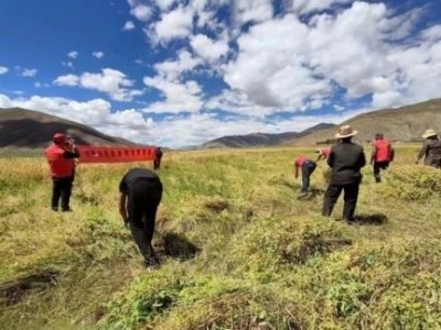 熱點(diǎn)討論！福建云霄香煙一手貨源廠家直銷“合家歡樂”